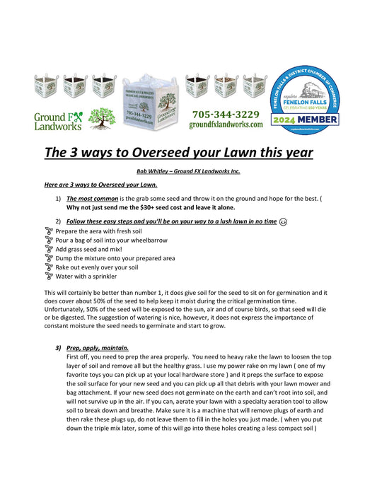 3 Ways to Overseed your lawn this year - Page 1