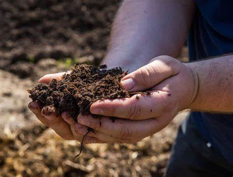 Soil Types