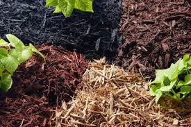 Forest Blend Mulch