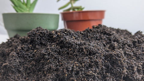 Bulk Vermicast ( Worm Castings )