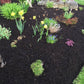 Aerobic Bio-Compost Bulk Delivery