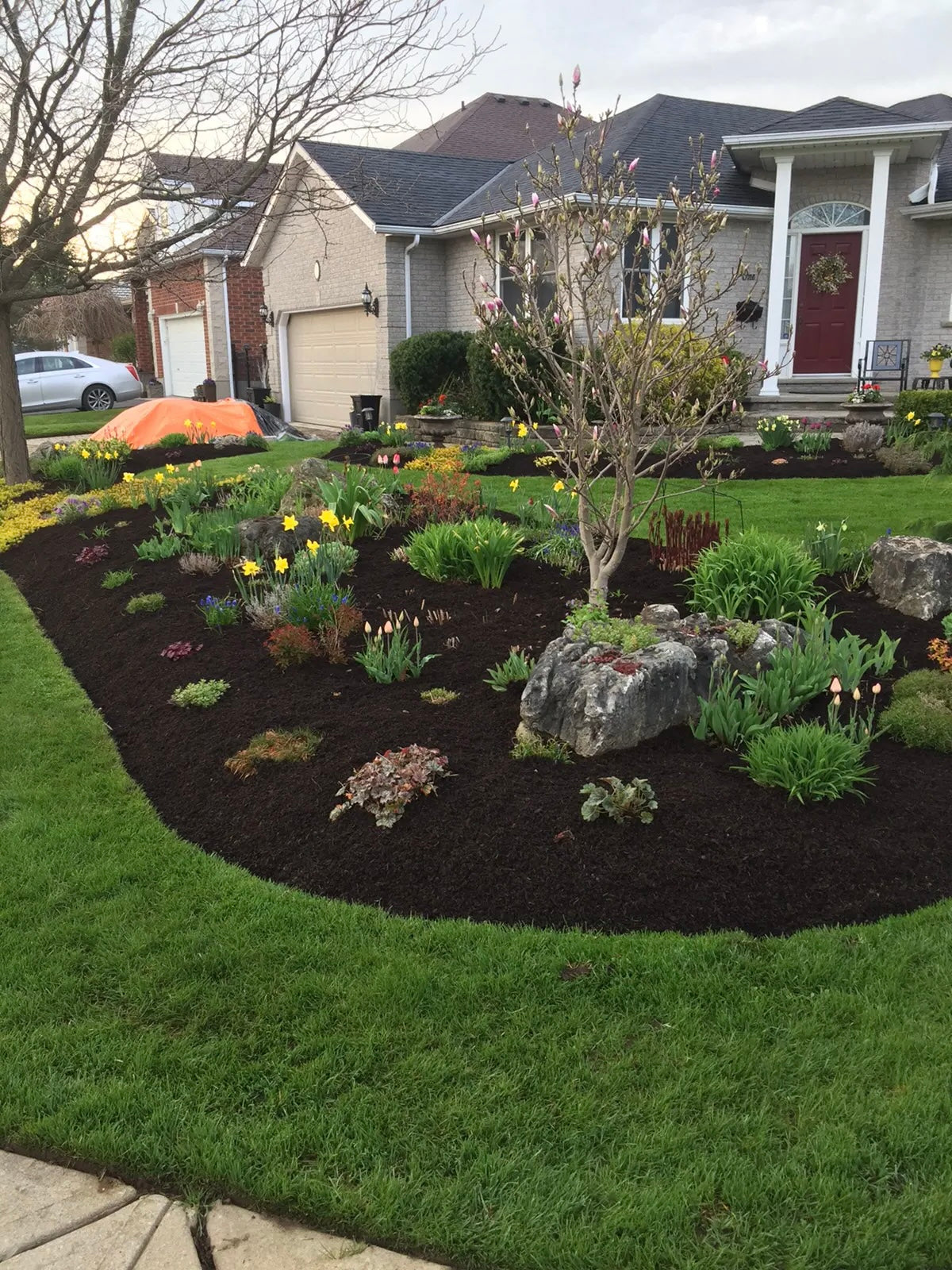 Compost Mulch