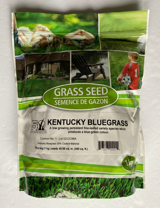 Kentucky Bluegrass Grass Seed ( Synonymous with the ideal lawn )