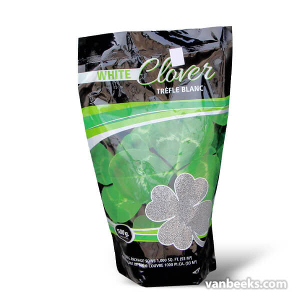 Clover Seeds from Speare Seeds